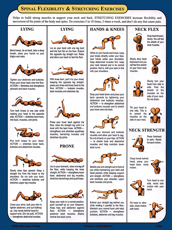 Excercises To Enlarge Your Penis